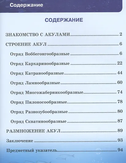 Акулы - фото 2