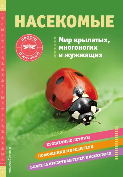 Насекомые. Мир крылатых, многоногих и жужжащих - фото 1