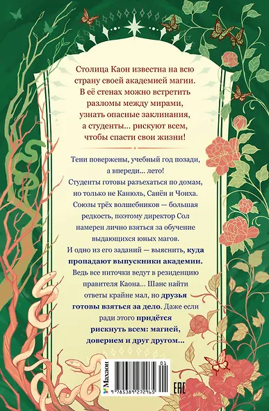 Маги Каона. Последний принц - фото 2