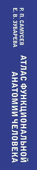 Атлас функциональной анатомии человека. Учебное пособие - фото 6