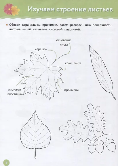 Рабочая тетрадь Монтессори. Мои маленькие открытия - фото 6