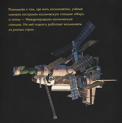 Необыкновенные приключения Пети в космосе (нов.) - фото 4