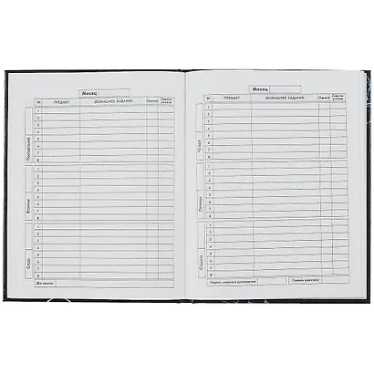 Дневник школьный Феникс+, "Игра" - фото 2