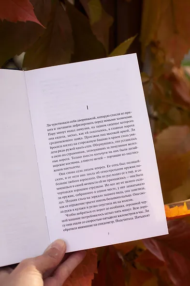 Ли Ховард и призраки поместья Симмонсов — Пирсов - фото 9