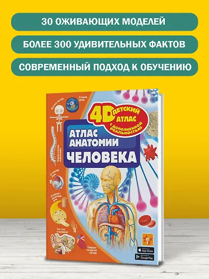 Атлас анатомии человека - фото 4