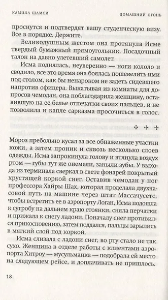 Домашний огонь - фото 3