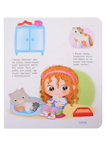 Что? Почему? Зачем? Про котят. 50 волшебных окошек - фото 5