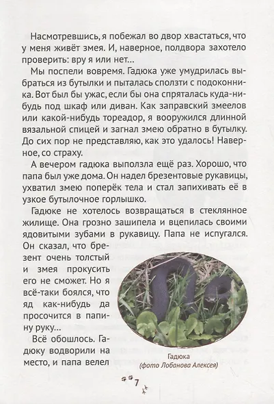 Пряники для слона - фото 4