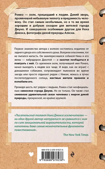 Волк по имени Ромео. Как дикий зверь покорил сердца целого города - фото 2