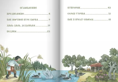 Серая уточка. Мордовские народные сказки - фото 5