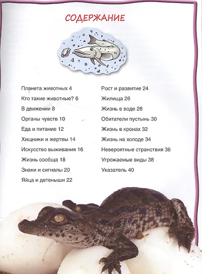 Животные - фото 2