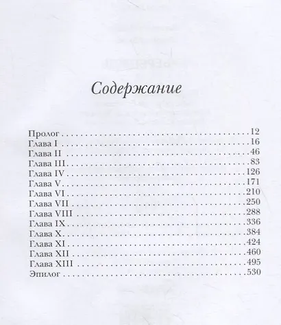 Кибервождь - фото 2