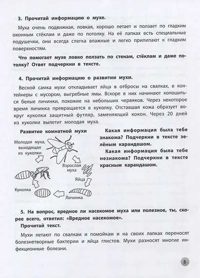 Функциональное чтение: 2 класс - фото 4