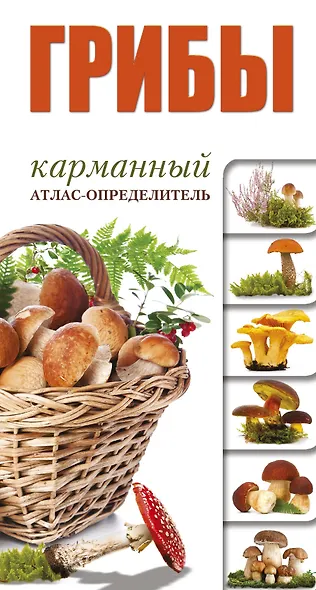 Грибы. Карманный атлас-опредитель - фото 1
