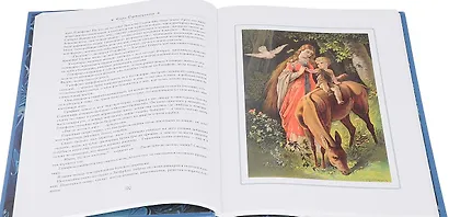 Сказки братьев Гримм - фото 3