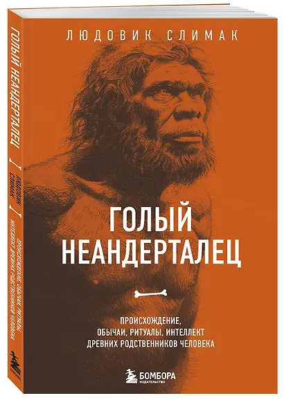 Голый неандерталец. Происхождение, обычаи, ритуалы, интеллект древних родственников человека - фото 3
