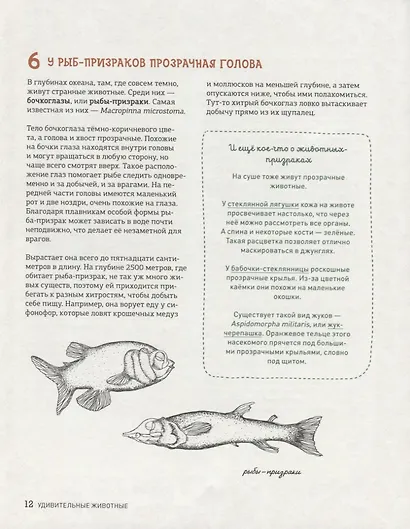 Может ли жираф облизать свои уши? И ещё 319 вопросов о мире вокруг - фото 6