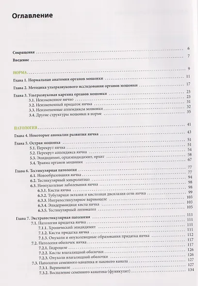 Ультразвуковое исследование органов мошонки. Норма и патология - фото 2