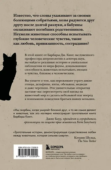 Как животные скорбят. Что чувствуют кошки, слоны, дельфины и другие, теряя близких - фото 2