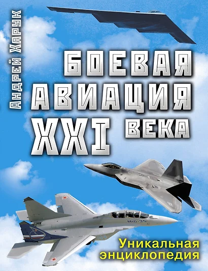 Боевая авиация XXI века - фото 1