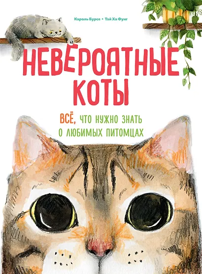 Невероятные коты. Всё, что нужно знать о любимых питомцах - фото 1
