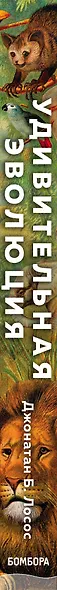 Удивительная эволюция. Биологическая история Земли в невероятных превращениях и мутациях организмов - фото 5
