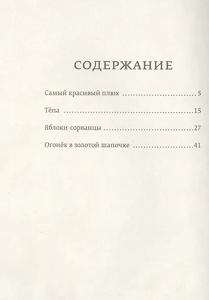 Огонек в золотой шапочке: рассказы для детей - фото 2