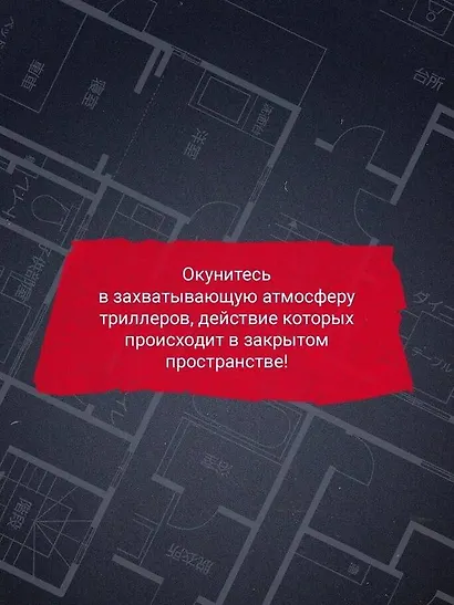 Шоппер + комплект из 4-х книг. Герметичные триллеры (Странный дом, Странный дом 2, Девять лжецов, Театр похищенных людей) - фото 10