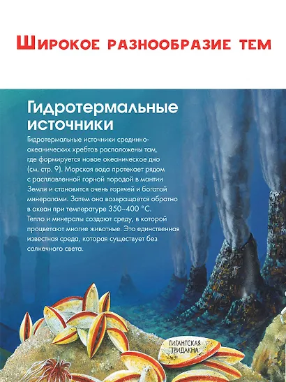 Подводный мир - фото 5