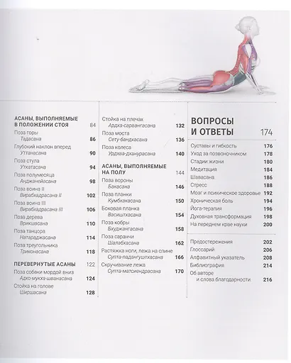 Анатомия и физиология йоги: совершенствование практики ключевых асан - фото 3