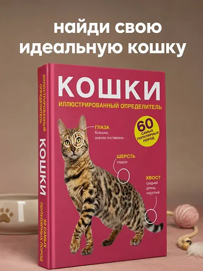 Кошки. 60 самых популярных пород. Иллюстрированный определитель - фото 4