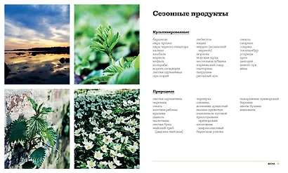 Нордическая кухня. Кулинарные шедевры с северным характером - фото 3