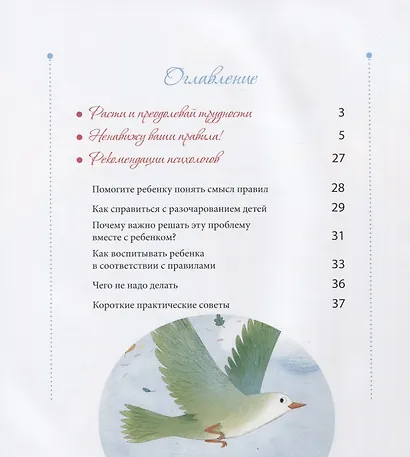 Ненавижу ваши правила! - фото 2