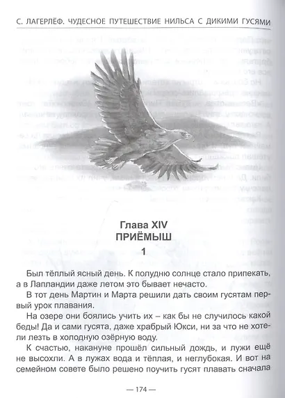 ШКОЛЬНАЯ БИБЛИОТЕКА. ЧУДЕСНОЕ ПУТЕШЕСТВИЕ НИЛЬСА С ДИКИМИ ГУСЯМИ (С.Лагерлёф) 224с. - фото 3
