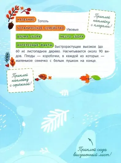 Собирай! Мой гербарий: книжка с наклейками - фото 2