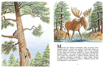 Лев по имени Илай: сборник сказок - фото 3