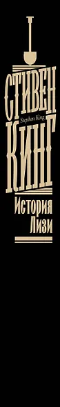 История Лизи - фото 15