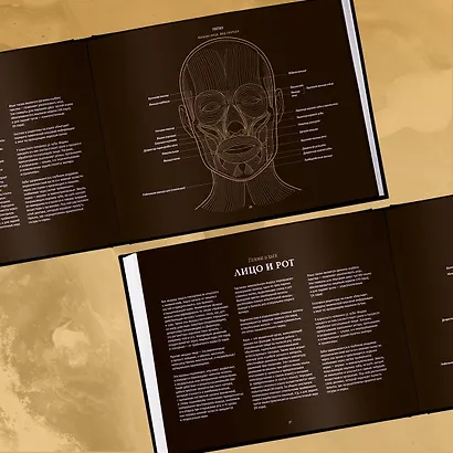 Анатомия в черном. Медицинский атлас для любителей роскоши и стиля - фото 12