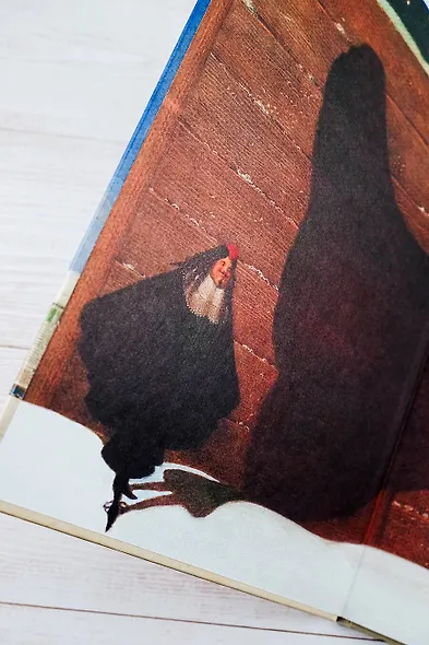 Чёрная курица, или Подземные жители с иллюстрациями Геннадия Спирина - фото 6