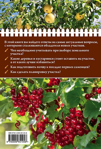 Садовый участок. С чего начать - фото 2