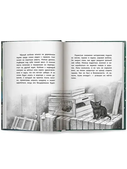 Счастье за дверью - фото 10