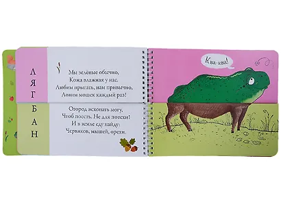 Лесные животные. Подбери картинки-половинки! 144 забавных животных - фото 5