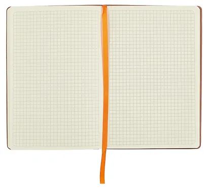 Книга для записей А5 100л кл. оранжевый, интегр., тонир.блок, резинка, ляссе, Schiller - фото 9
