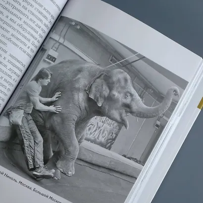 Понять хищника - фото 10