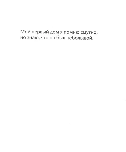 Мой дом - фото 2