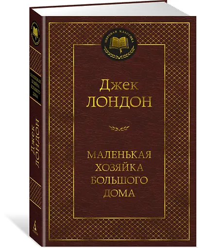 Маленькая хозяйка большого дома - фото 2