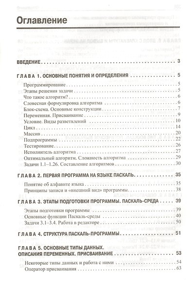 Программирование в примерах и задачах. 4-е издание - фото 2