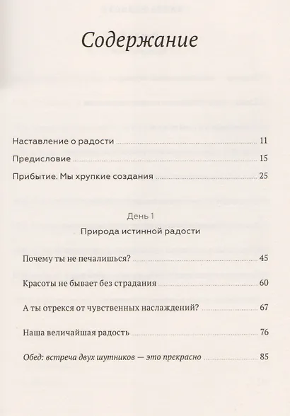 Книга радости. Как быть счастливым в меняющемся мире - фото 4