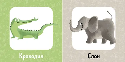 Познаем мир вместе. Животные - фото 2