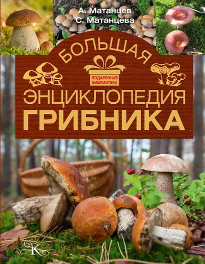Большая энциклопедия грибника - фото 1